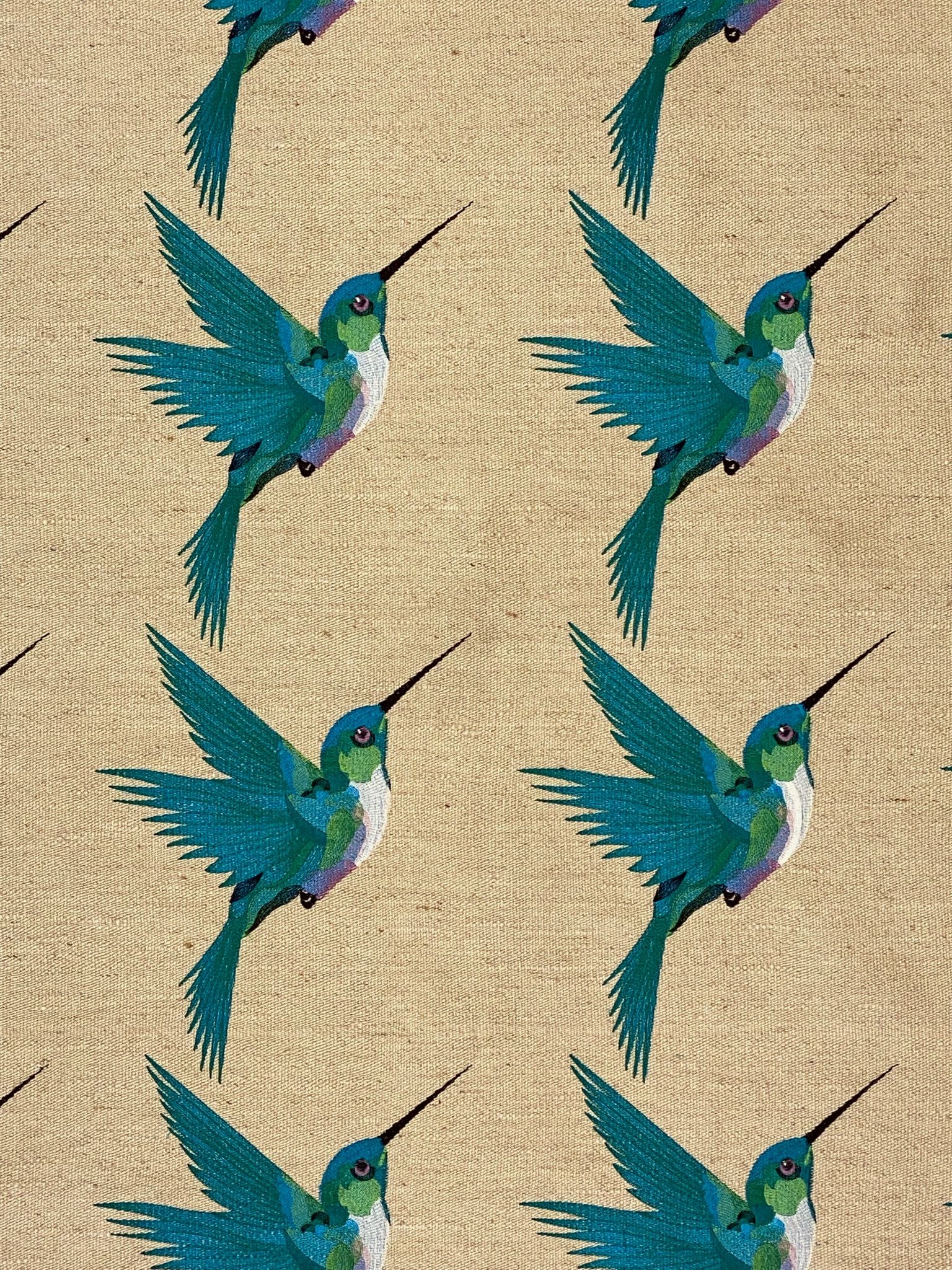 Honey Bird 