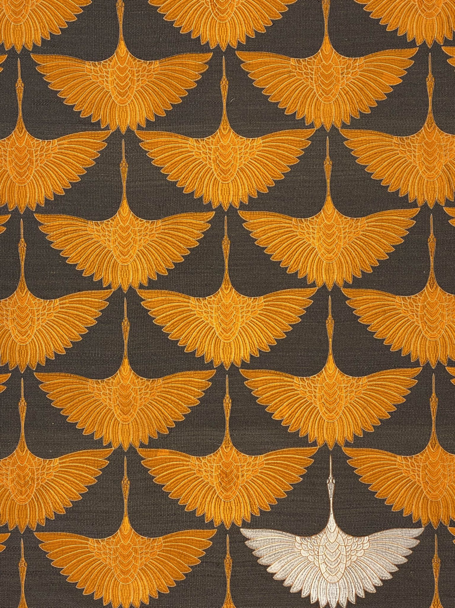 Orange Bajaa 