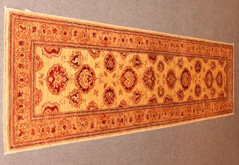 Wardabhad runner