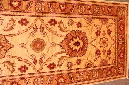 Wardabhad runner