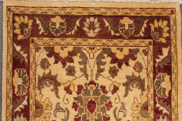 Wardabhad runner