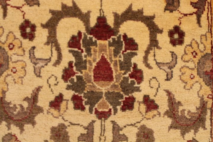 Wardabhad runner